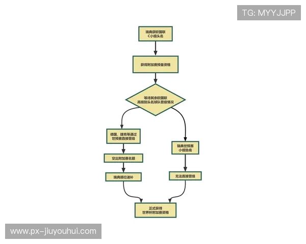 2025年Doro足球赛精彩回顾与未来发展趋势分析